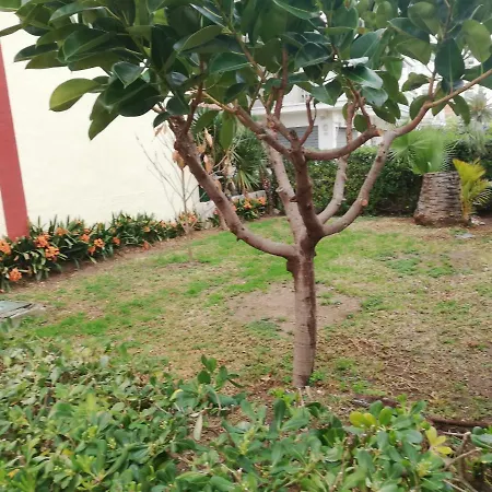 Estudios Solmar Solo Familias Serviplaya * Gandia