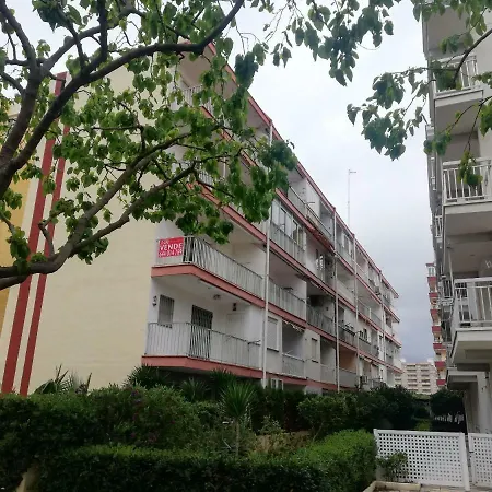 Estudios Solmar Solo Familias Serviplaya 간디아