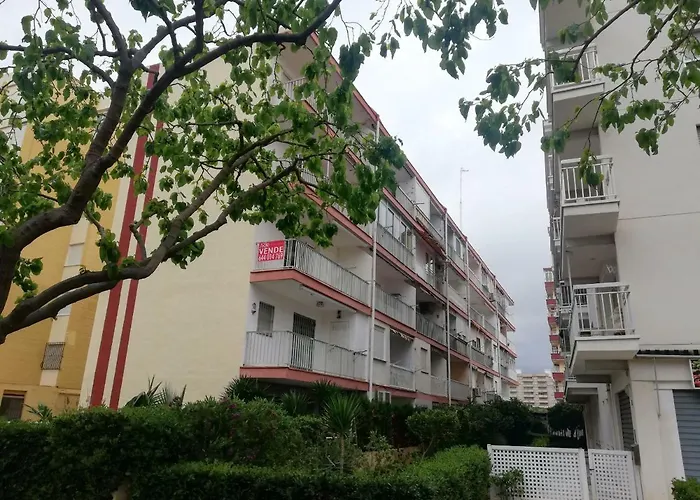 Estudios Solmar Solo Familias Serviplaya 간디아
